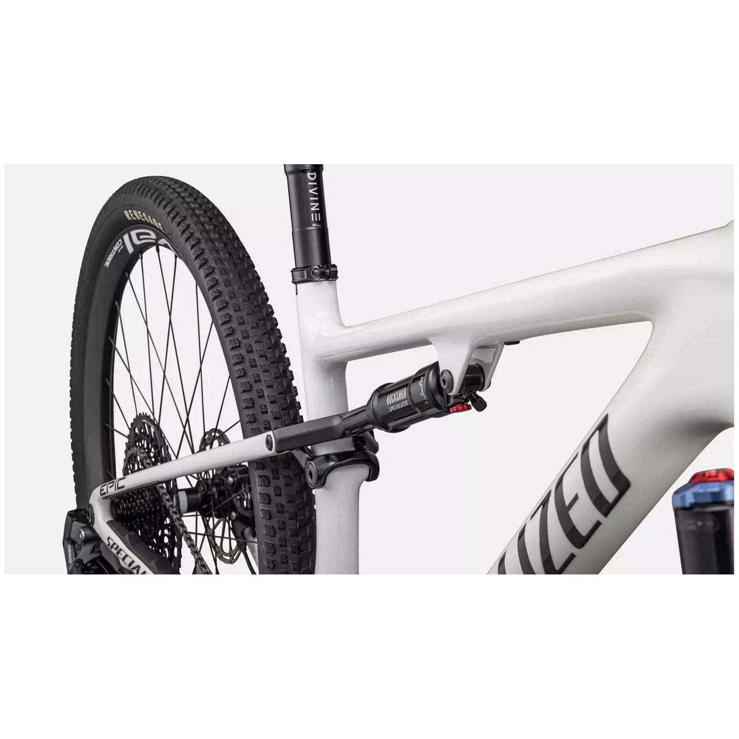 Epic Pro-Cycles Direct Specialized