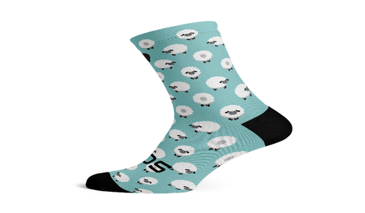 SOX Sheep