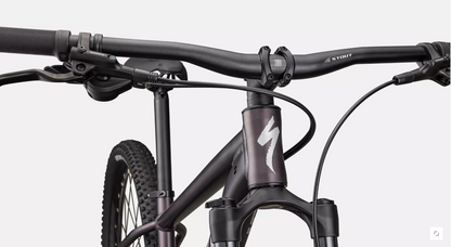 Rockhopper Comp 29(M)