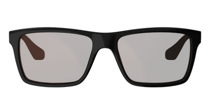 Sunglasses TheViz Sierra