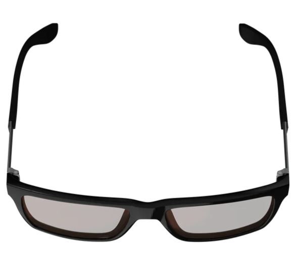 Sunglasses TheViz Sierra