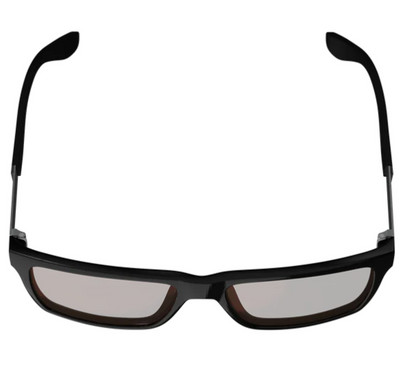 Sunglasses TheViz Sierra