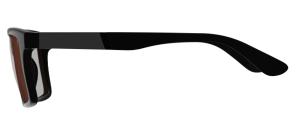 Sunglasses TheViz Sierra