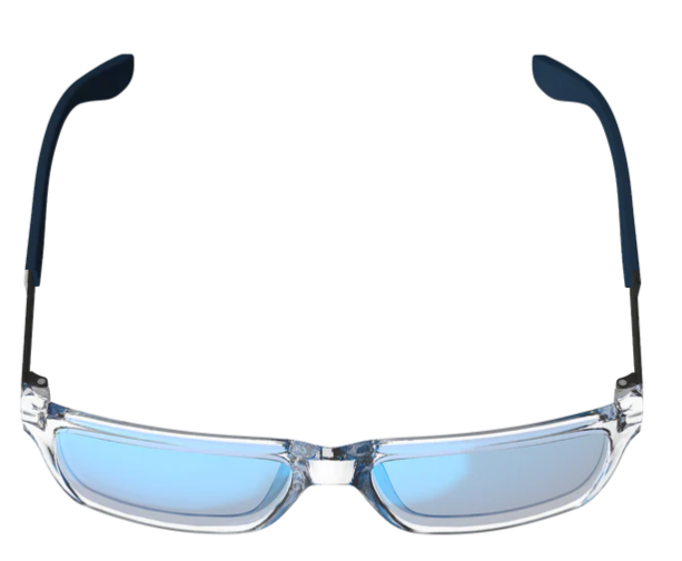 Sunglasses TheViz Sierra